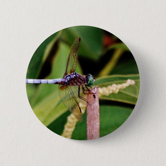 Badge Rond 5 Cm libellule avec fleurs blanches (Devant)