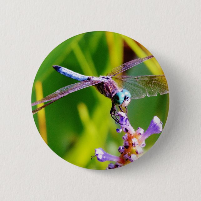 Badge Rond 5 Cm libellule turquoise et violette (Devant)