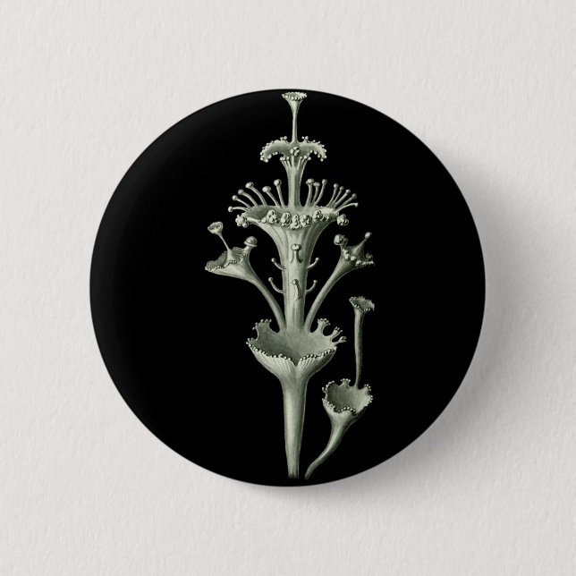 Badge Rond 5 Cm Lichen de tasse (Devant)