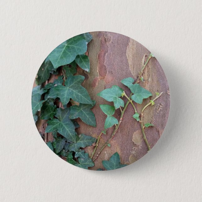Badge Rond 5 Cm lierre sur arbre (Devant)