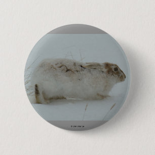 Badge Rond 5 Cm Lièvre d'Amérique R7 prêt à courir