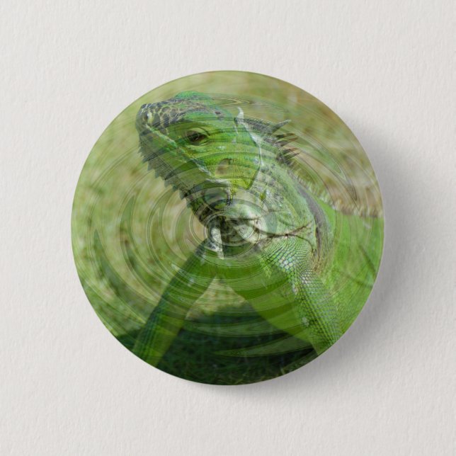 Badge Rond 5 Cm L'iguane vert (Devant)