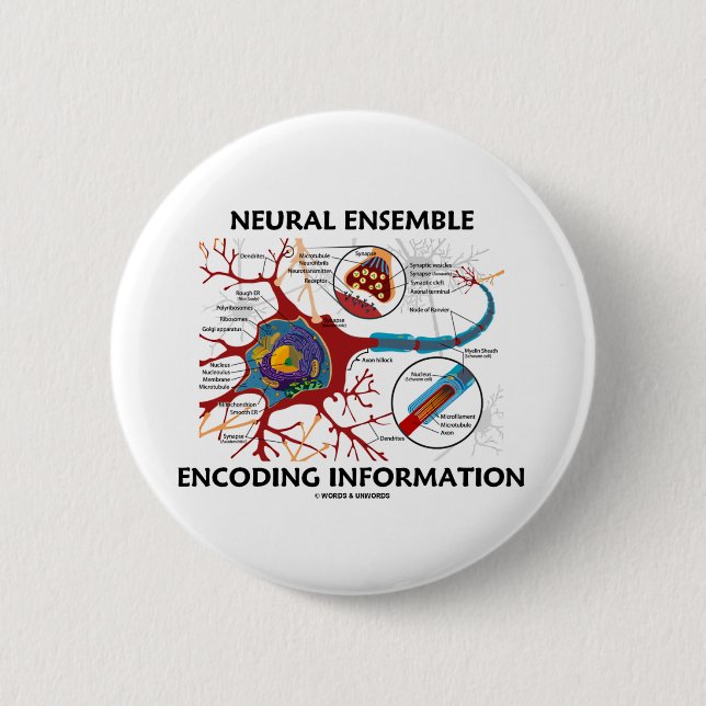 Badge Rond 5 Cm L'information neurale de codage d'ensemble (Devant)