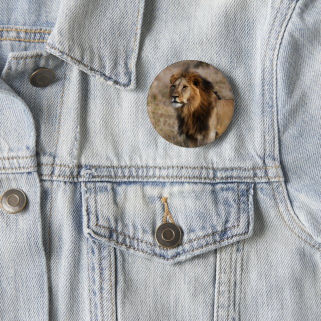 Badge Rond 5 Cm Lion d'Afrique en Grass Argent Plaqué (En situation)