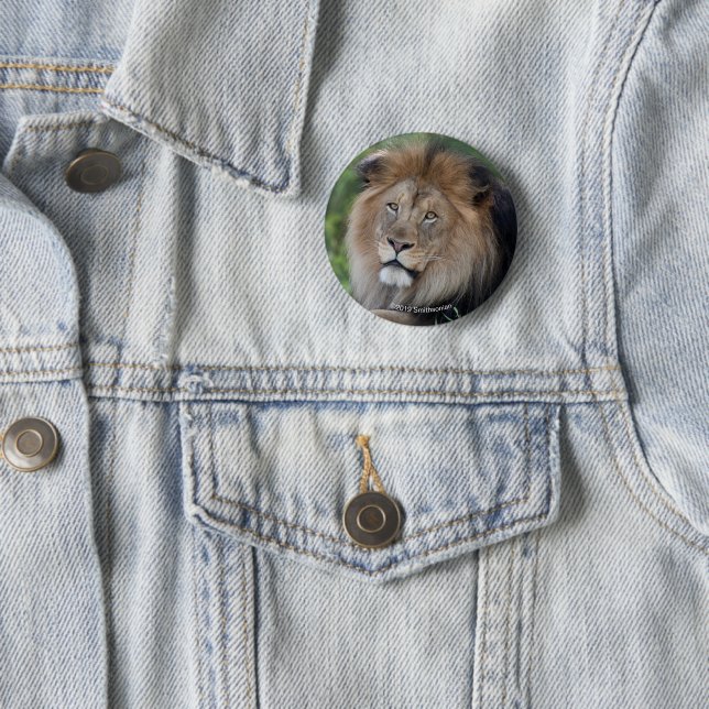 Badge Rond 5 Cm Lion Lounging dans une forêt (En situation)