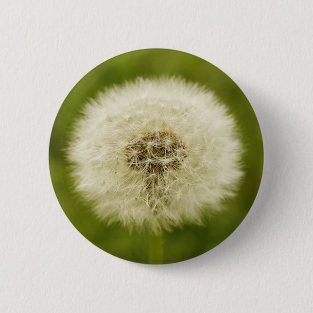 Badge Rond 5 Cm Lion mignon (Devant)