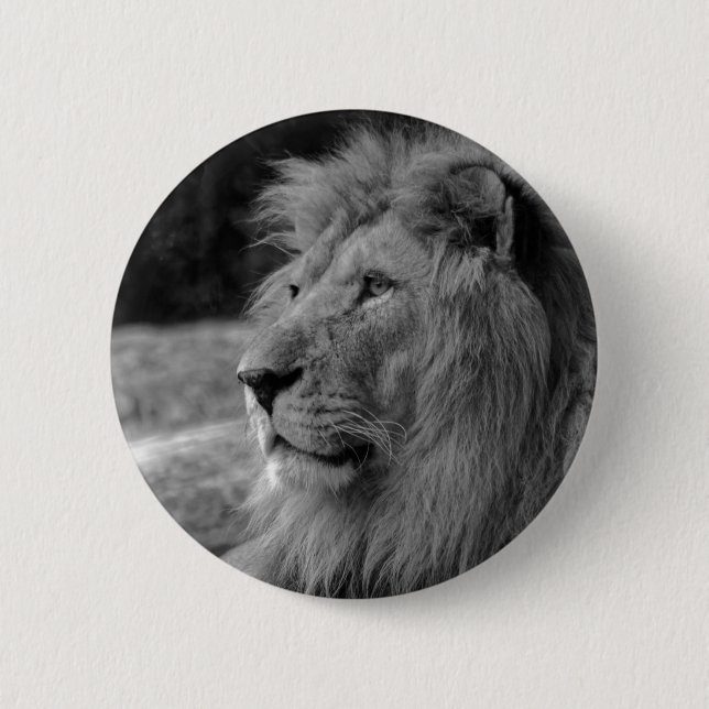 Badge Rond 5 Cm Lion noir et blanc - Animal sauvage (Devant)