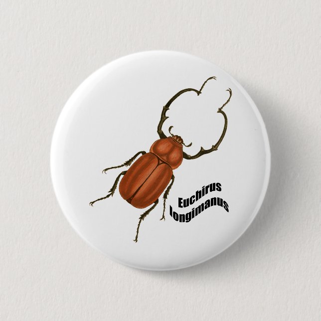Badge Rond 5 Cm Longimanis d'Euchirus (Devant)