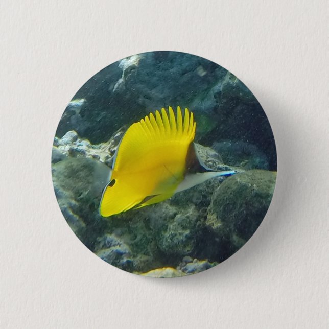 Badge Rond 5 Cm Longs poissons de papillon de nez (Devant)
