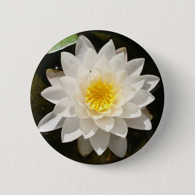 Badge Rond 5 Cm Lotus Nymphéa Flottant (Devant)