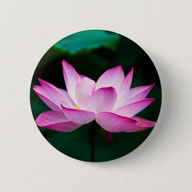 Badge Rond 5 Cm Lotus rose (Devant)
