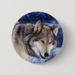Badge Rond 5 Cm Loup d'hiver 2