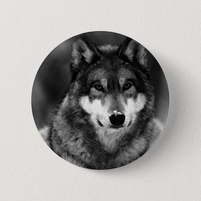 Badge Rond 5 Cm Loup noir et blanc (Devant)