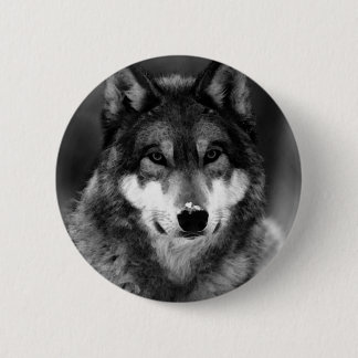 Badge Rond 5 Cm Loup noir et blanc