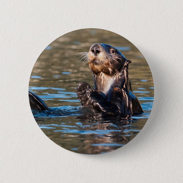 Badge Rond 5 Cm Loupe de mer ensoleillée (Devant)