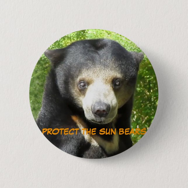 Badge Rond 5 Cm L'ours de Sun teintent teintent le bouton (Devant)