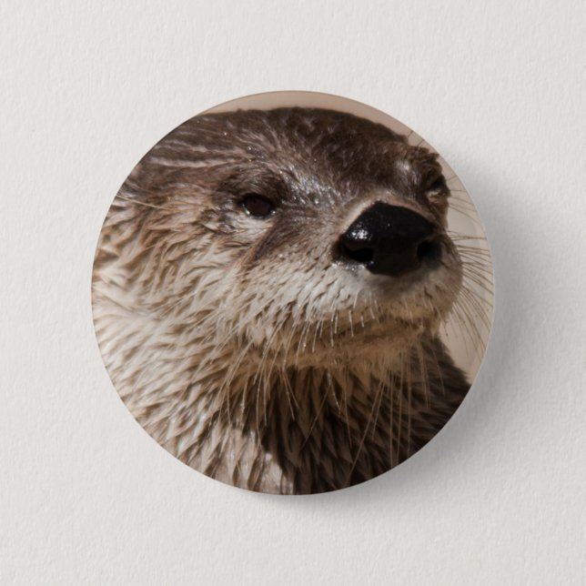 BADGE ROND 5 CM LOUTRE (Devant)