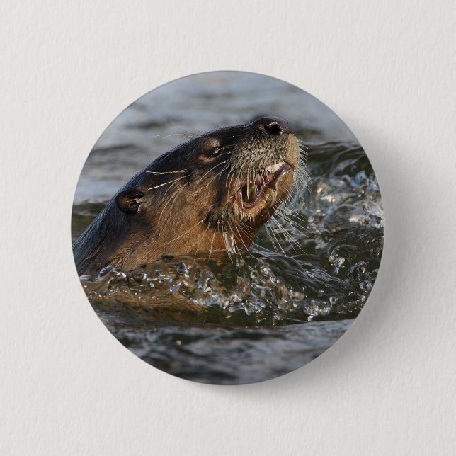 Badge Rond 5 Cm loutre de rivière (Devant)