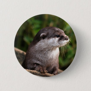 Badge Rond 5 Cm Loutre grise mignonne