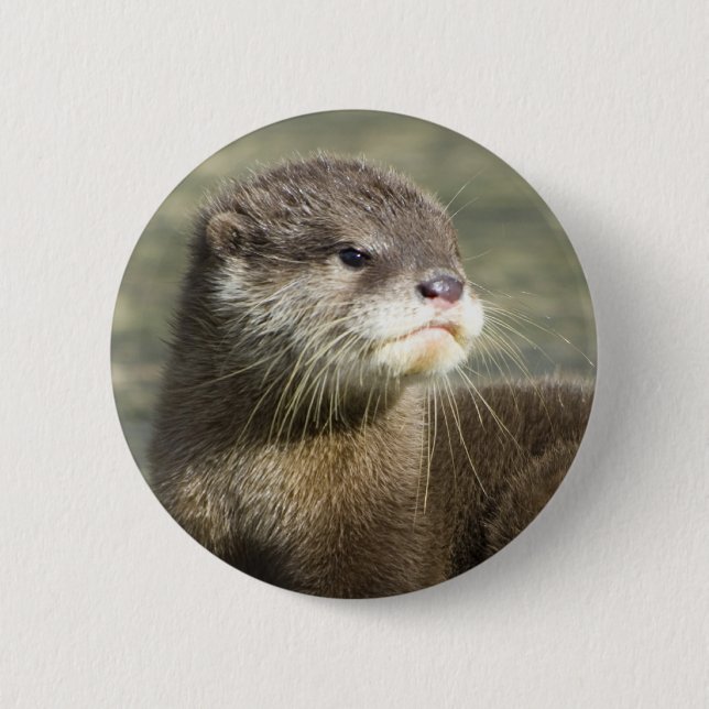 Badge Rond 5 Cm Loutre mignonne de bébé (Devant)