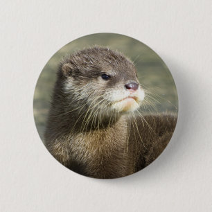 Badge Rond 5 Cm Loutre mignonne de bébé