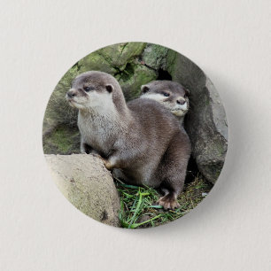 BADGE ROND 5 CM LOUTRES