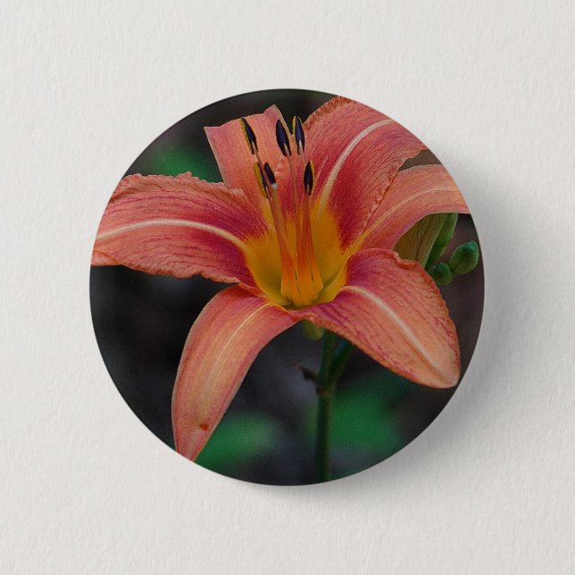 Badge Rond 5 Cm Lovely Tawny Daylily Vêtements et cadeaux (Devant)