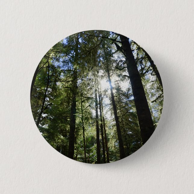 Badge Rond 5 Cm Lumière du soleil à travers les pins (Devant)