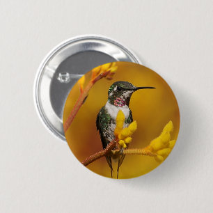 Badge Rond 5 Cm Luminosité dorée