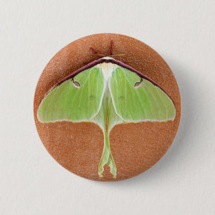 Badge Rond 5 Cm Luna Moth