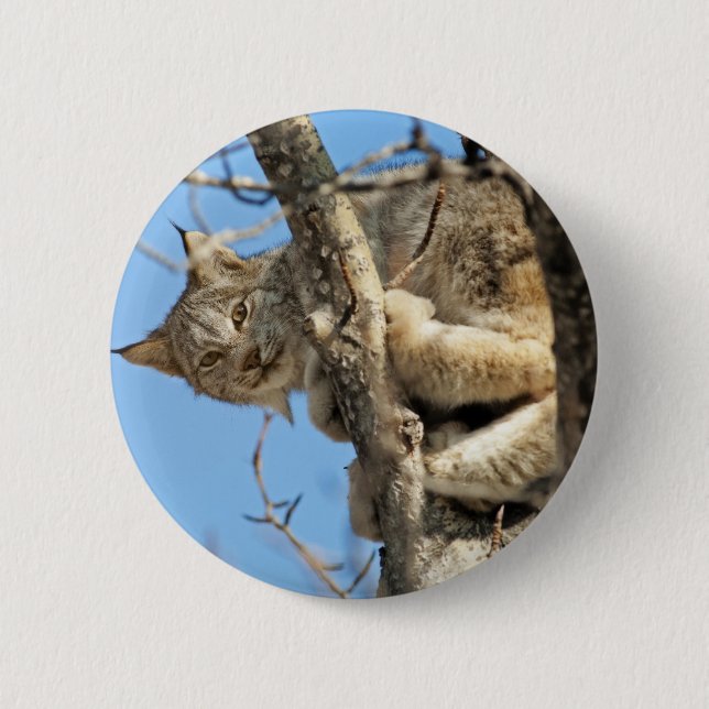 Badge Rond 5 Cm Lynx espiègle (Devant)