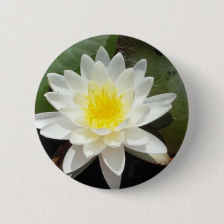 Badge Rond 5 Cm Lys d'eau