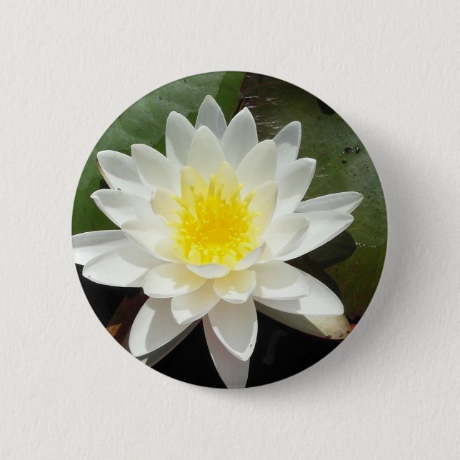 Badge Rond 5 Cm Lys d'eau (Devant)