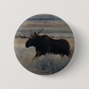 Badge Rond 5 Cm M2 Orignal à cornes