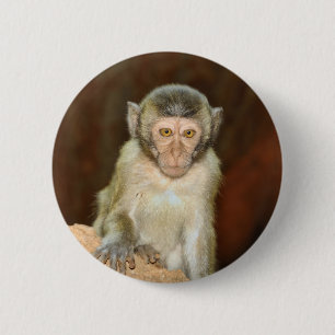 Badge Rond 5 Cm macaque