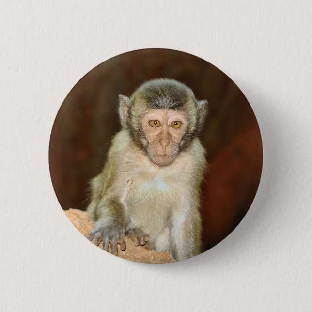 Badge Rond 5 Cm macaque (Devant)