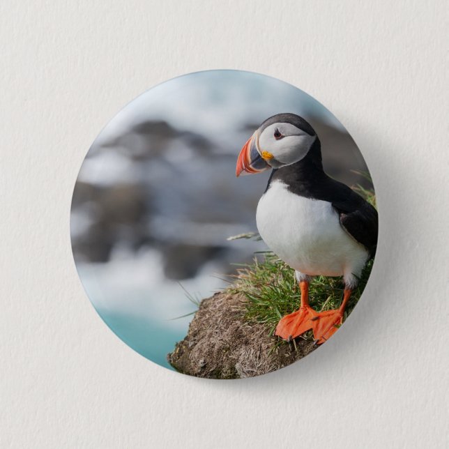 Badge Rond 5 Cm Macareux (Devant)