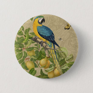 Badge Rond 5 Cm Macaw Blue Jaune Tropical Jungle Antique