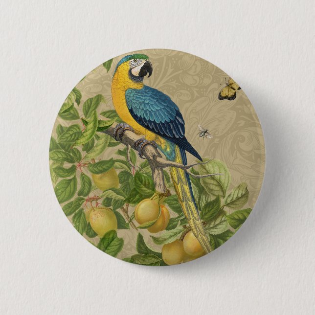 Badge Rond 5 Cm Macaw Blue Jaune Tropical Jungle Antique (Devant)