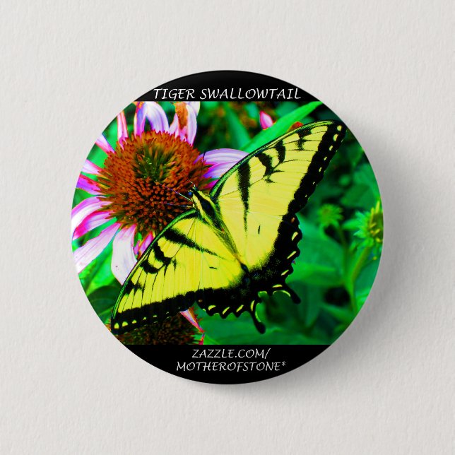 Badge Rond 5 Cm Machaon de tigre (Devant)