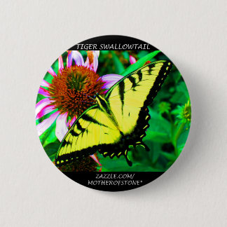 Badge Rond 5 Cm Machaon de tigre