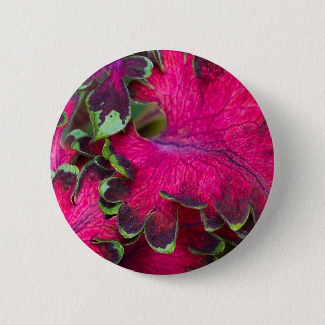 Badge Rond 5 Cm Macro Coleus (Devant)