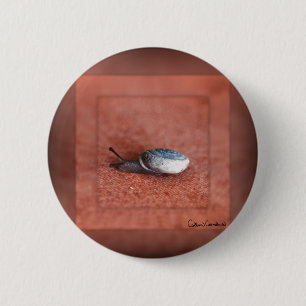Badge Rond 5 Cm Macro Photographie de Snail sur Terracotta