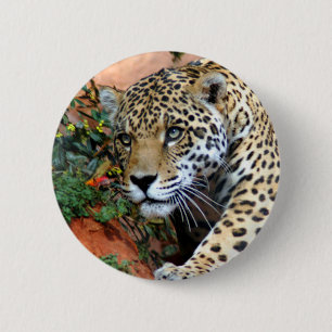 Badge Rond 5 Cm Macro Stalking Leopard