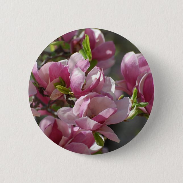 Badge Rond 5 Cm Magnolia de floraison (Devant)
