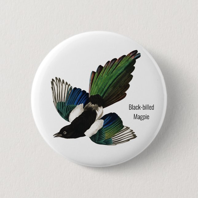 Badge Rond 5 Cm Magpie à bec noir, Audubon, American Birder, (Devant)