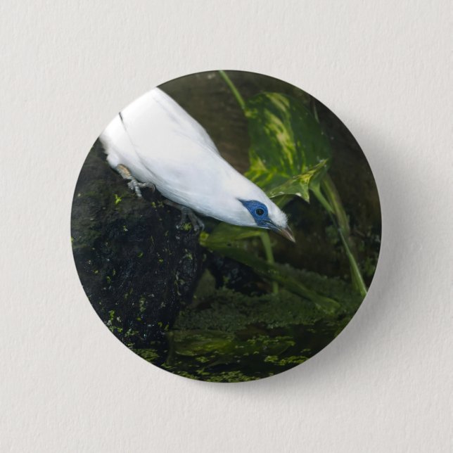 Badge Rond 5 Cm Mainate de Bali (Devant)