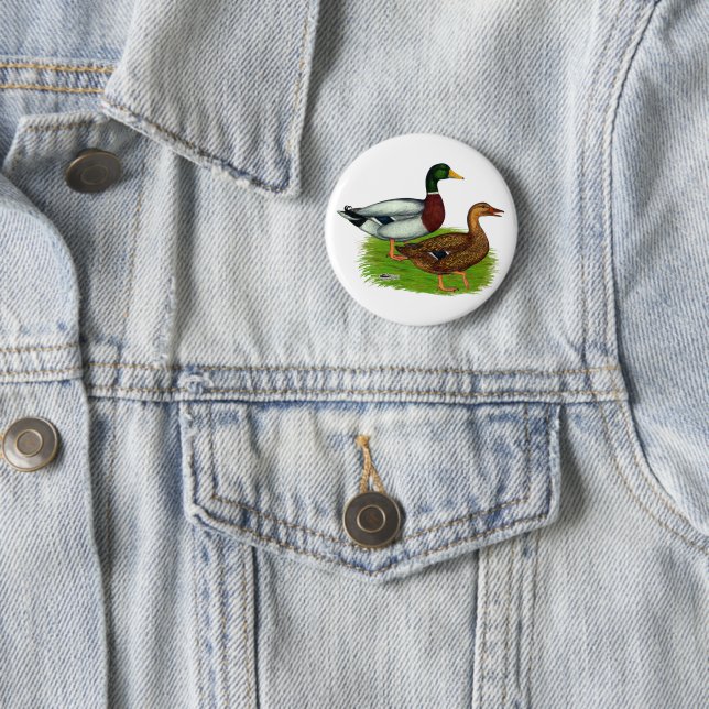 Badge Rond 5 Cm Mallard Drake et Duck (En situation)