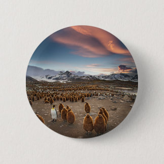 Badge Rond 5 Cm Manchots au coucher du soleil