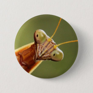 Badge Rond 5 Cm Mante curieuse